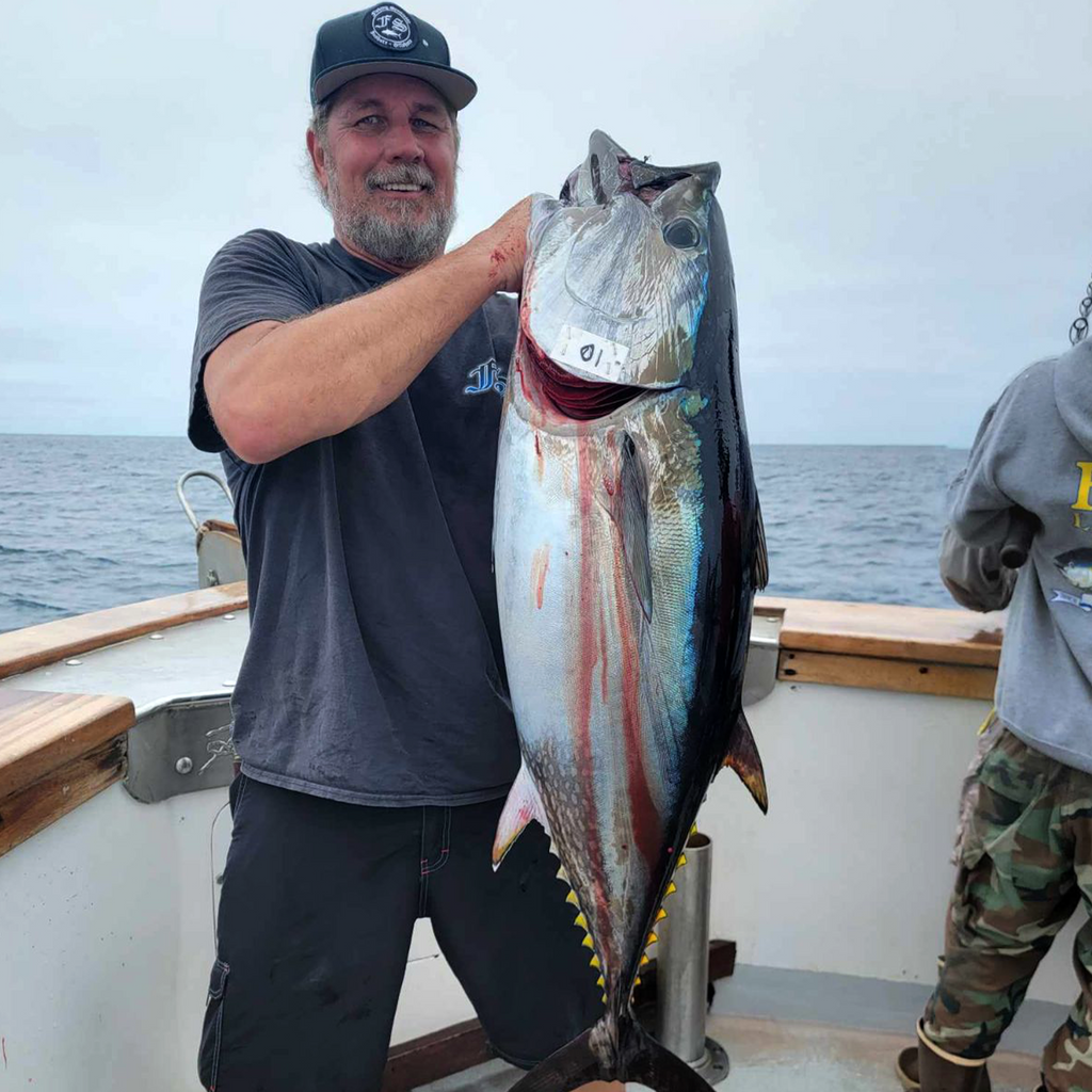 All-Purpose Composite Series (Casting)