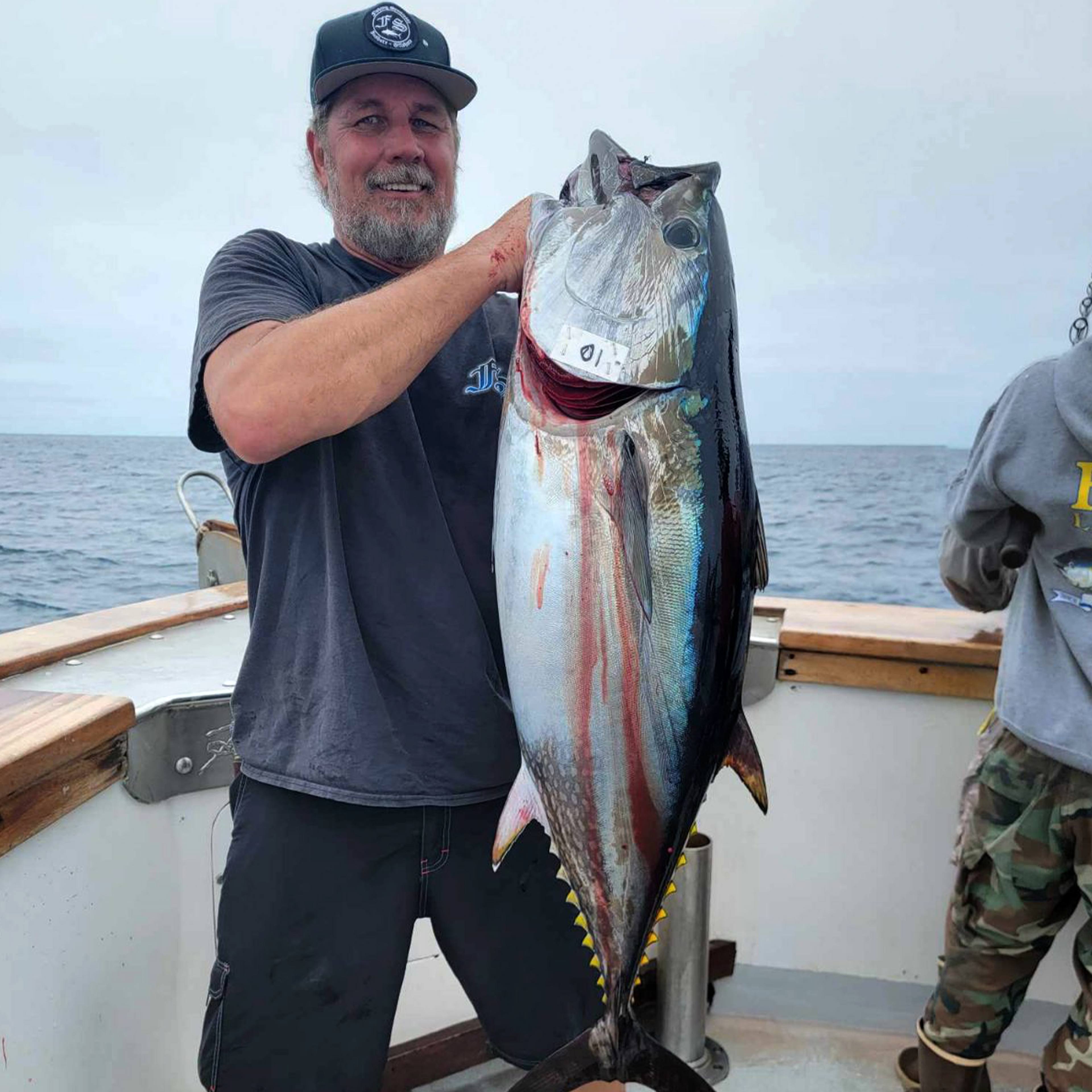 All-Purpose Composite Series (Casting)