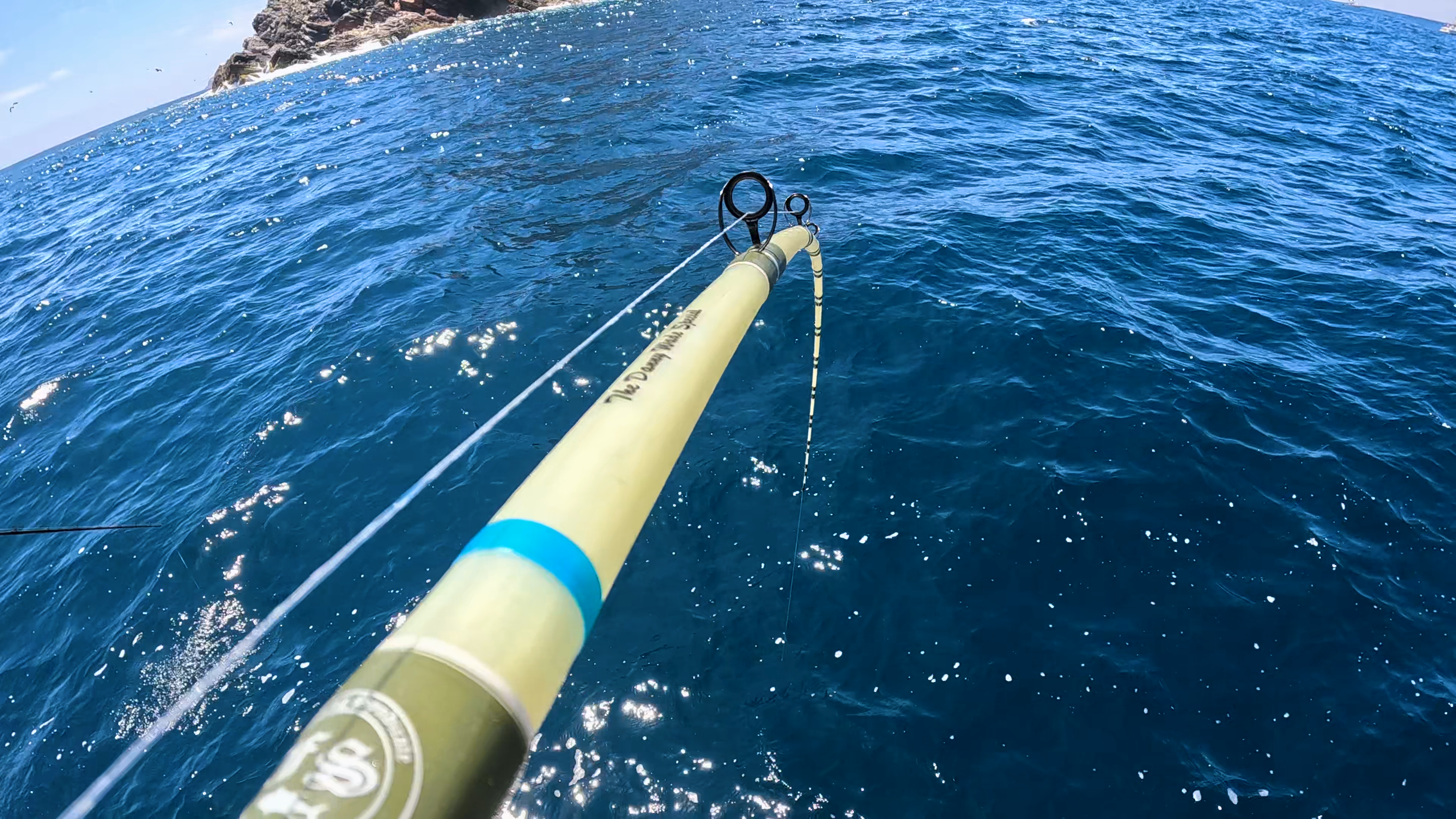 dwp sea fishing pole FSGL 100J DWS (S-Glass)