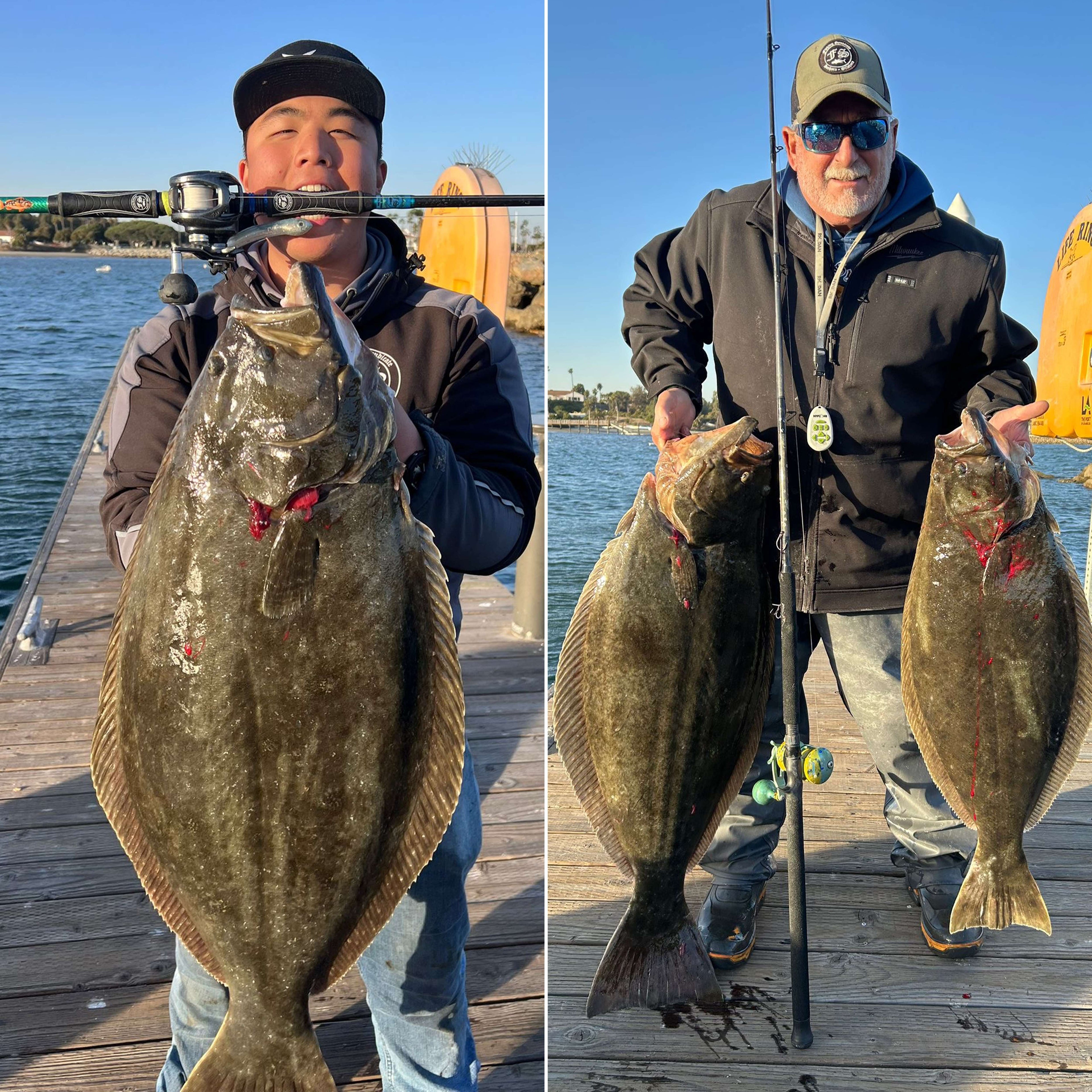 Inshore Composite Series